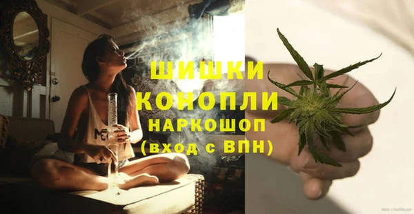 PSILOCYBIN Абдулино