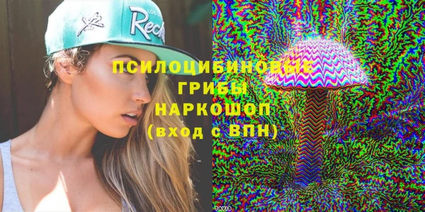 шишки Абинск