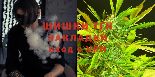 шишки Абинск