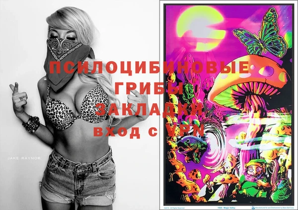 шишки Абинск