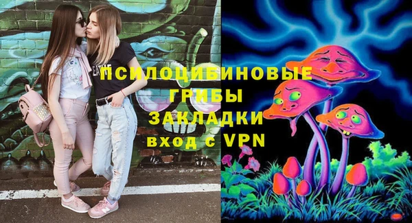 экстази Шадринск