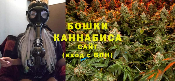 PSILOCYBIN Абдулино