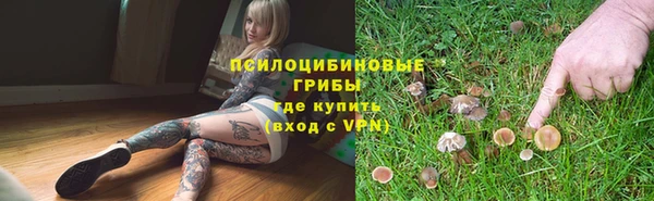 PSILOCYBIN Абдулино
