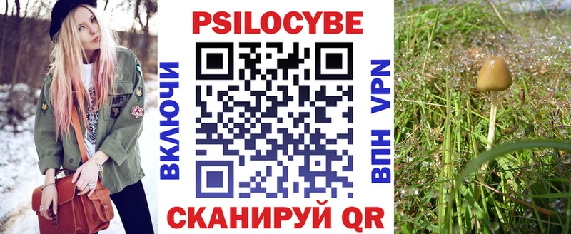 Галлюциногенные грибы Psilocybine cubensis  kraken tor  Холм 